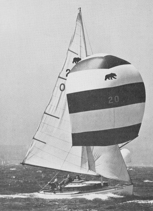 Bear sailboat under sail