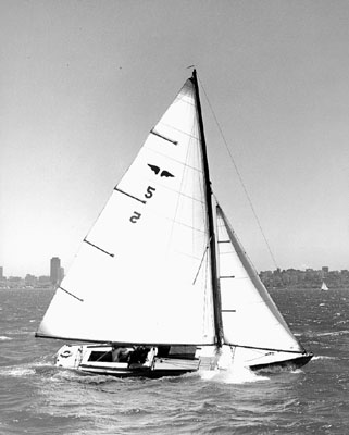 Bird sf bay sailboat under sail