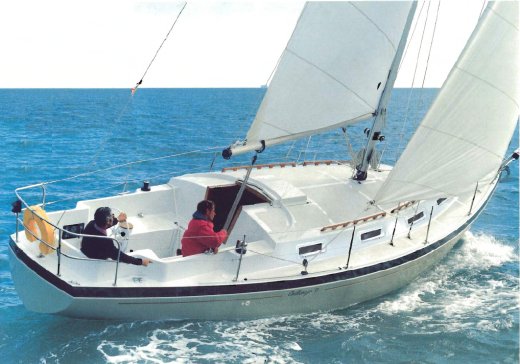 Challenger 35 primrose sailboat under sail
