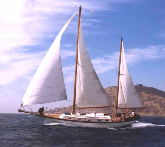 Clipper 42 cheoy lee sailboat under sail