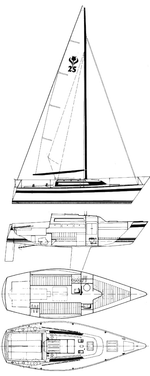 Contest 250c sailboat under sail