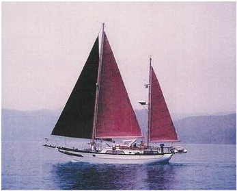 Ct 42 mermaid sailboat under sail