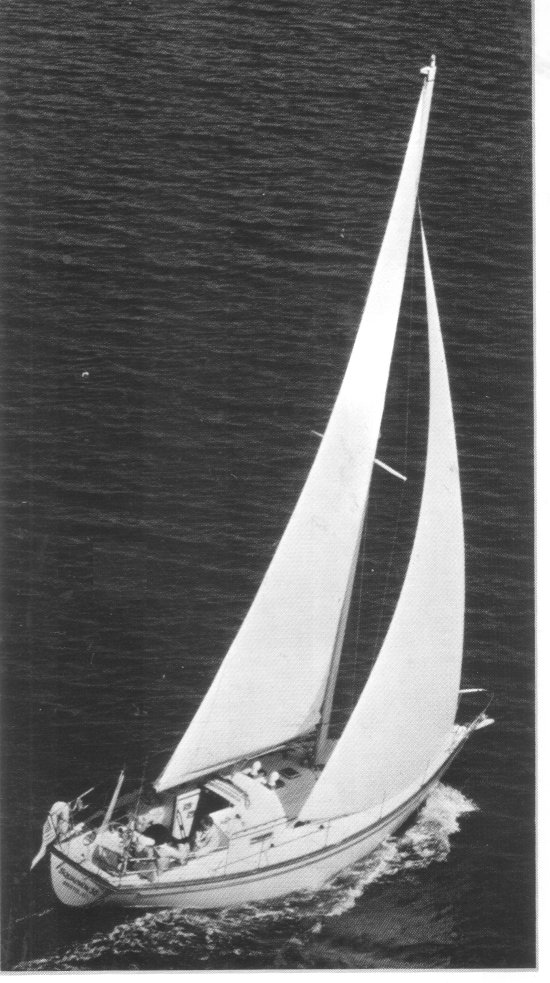 Dberge 36 sailboat under sail