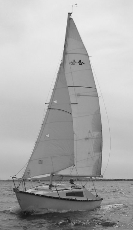 Jidzo sailboat under sail