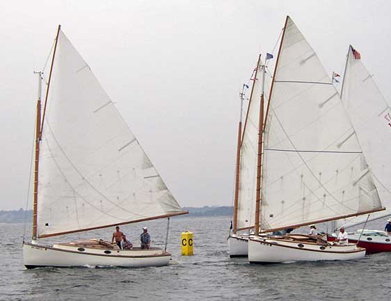 Marshall 22 cat sailboat under sail
