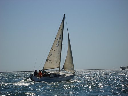Newport 20 sailboat under sail