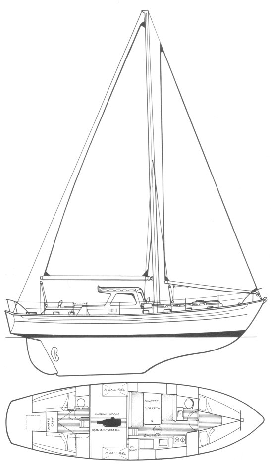Salmo salar sailboat under sail