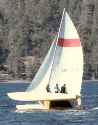 Shark catamaran sailboat under sail