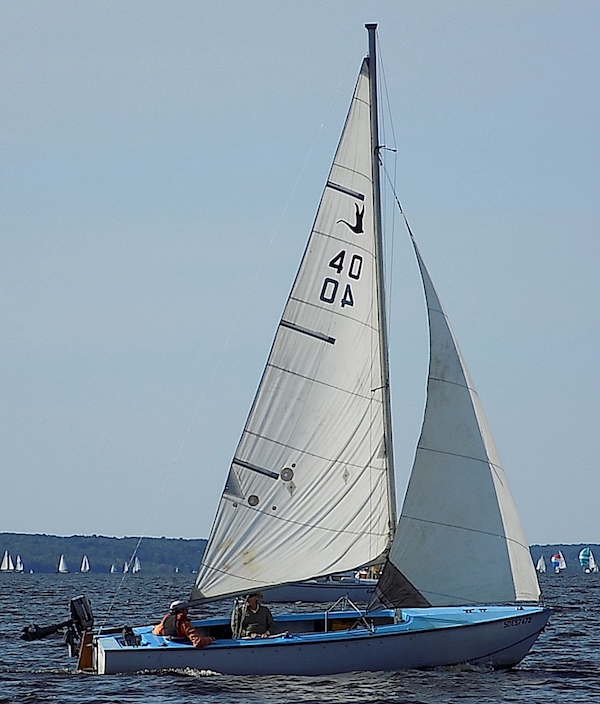 Cygnus 20 fk sailboat under sail