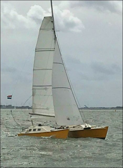 Strider cat sailboat under sail