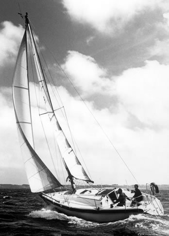 Super arlequin sailboat under sail