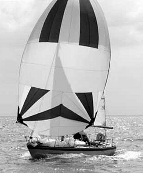 Tequila sailboat under sail