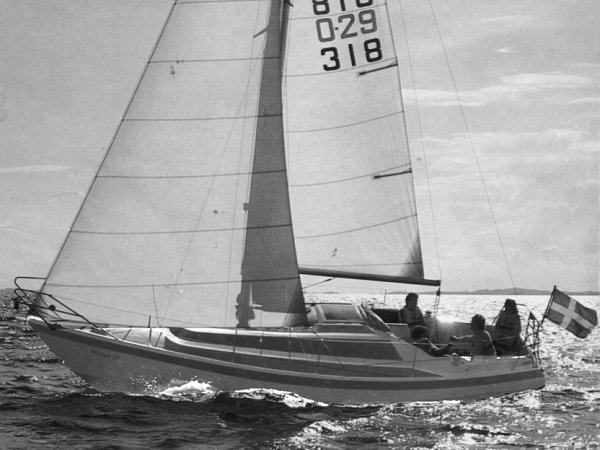 Winga 29 sailboat under sail